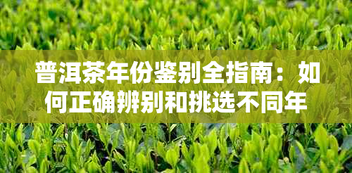 普洱茶年份鉴别全指南：如何正确辨别和挑选不同年份的普洱茶