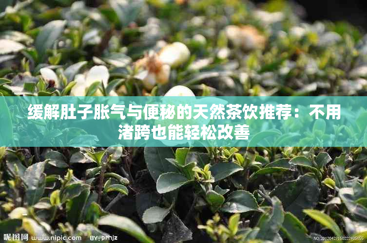 缓解肚子胀气与便秘的天然茶饮推荐：不用渚跨也能轻松改善