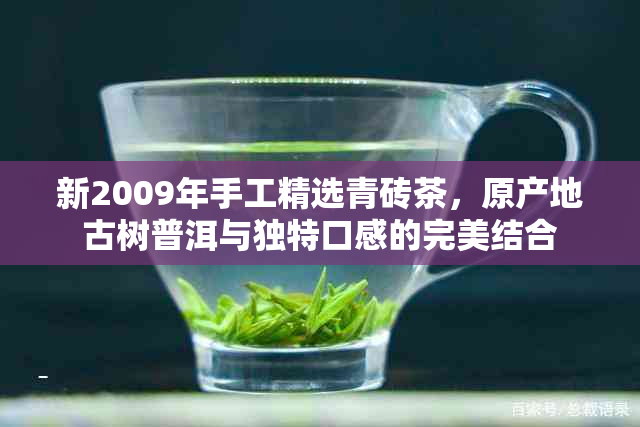 新2009年手工精选青砖茶，原产地古树普洱与独特口感的完美结合