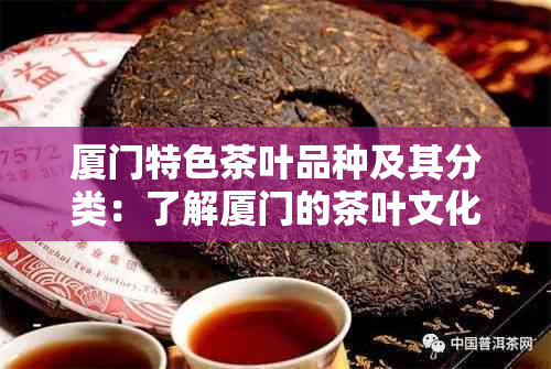 厦门特色茶叶品种及其分类：了解厦门的茶叶文化