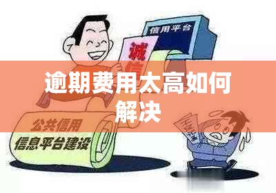 逾期费用太高如何解决