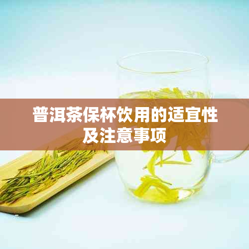 普洱茶保杯饮用的适宜性及注意事项