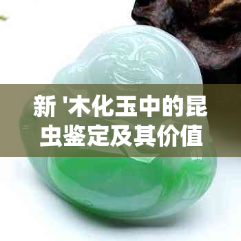 新 '木化玉中的昆虫鉴定及其价值影响'