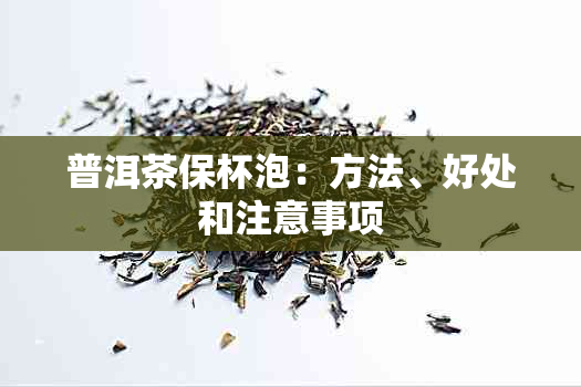 普洱茶保杯泡：方法、好处和注意事项