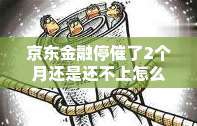 京东金融停催了2个月还是还不上怎么处理