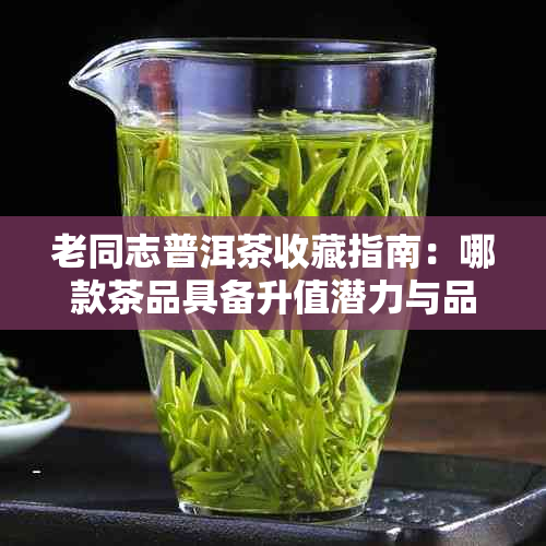 老同志普洱茶收藏指南：哪款茶品具备升值潜力与品质保障？