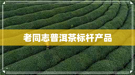 老同志普洱茶标杆产品