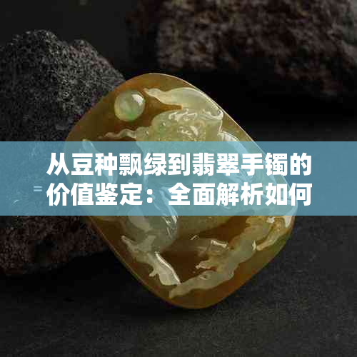 从豆种飘绿到翡翠手镯的价值鉴定：全面解析如何鉴别与估价