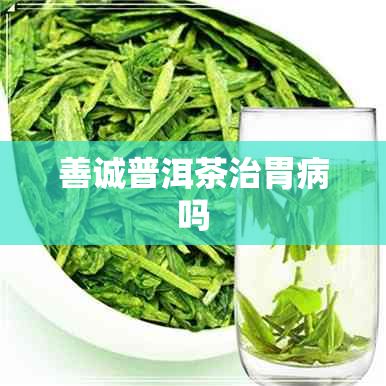 善诚普洱茶治胃病吗