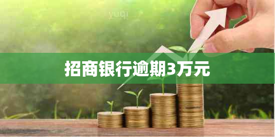 招商银行逾期3万元