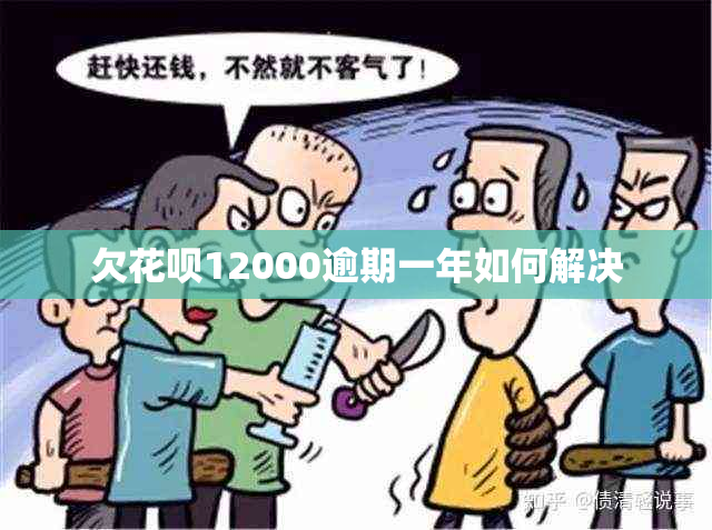 欠花呗12000逾期一年如何解决