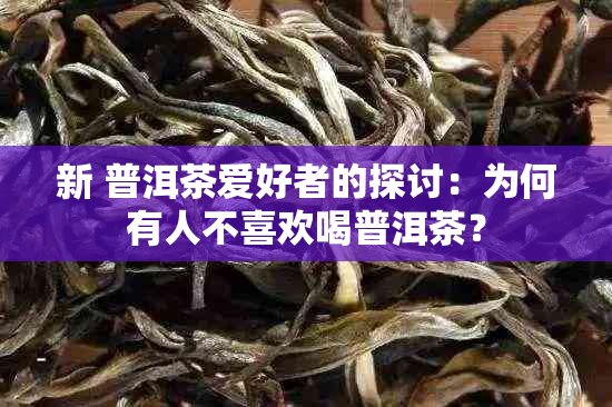 新 普洱茶爱好者的探讨：为何有人不喜欢喝普洱茶？