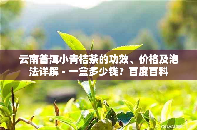 云南普洱小青桔茶的功效、价格及泡法详解 - 一盒多少钱？百度百科