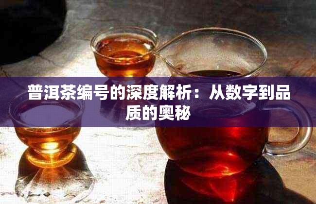 普洱茶编号的深度解析：从数字到品质的奥秘