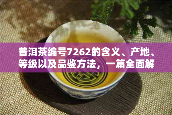 普洱茶编号7262的含义、产地、等级以及品鉴方法，一篇全面解答