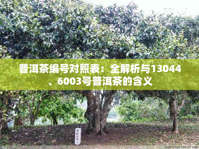 普洱茶编号对照表：全解析与13044、6003号普洱茶的含义