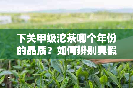 下关甲级沱茶哪个年份的品质？如何辨别真假？