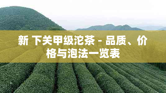 新 下关甲级沱茶 - 品质、价格与泡法一览表