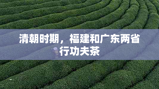 清朝时期，福建和广东两省行功夫茶