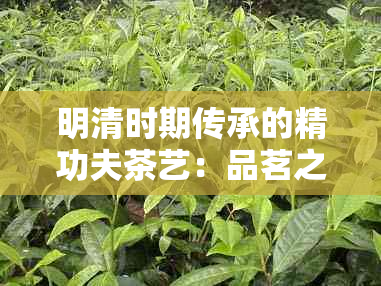 明清时期传承的精功夫茶艺：品茗之道与文化内涵