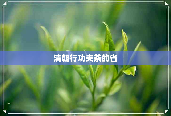 清朝行功夫茶的省