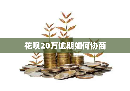 花呗20万逾期如何协商