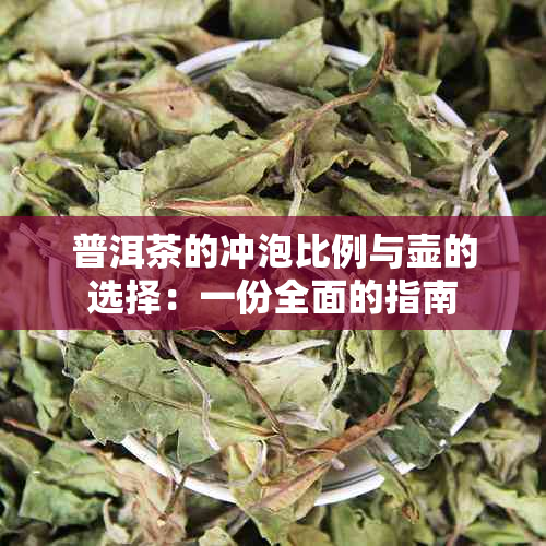 普洱茶的冲泡比例与壶的选择：一份全面的指南