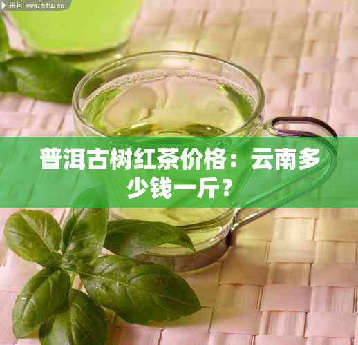 普洱古树红茶价格：云南多少钱一斤？