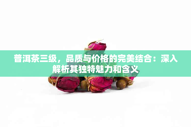 普洱茶三级，品质与价格的完美结合：深入解析其独特魅力和含义