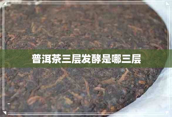 普洱茶三层发酵是哪三层