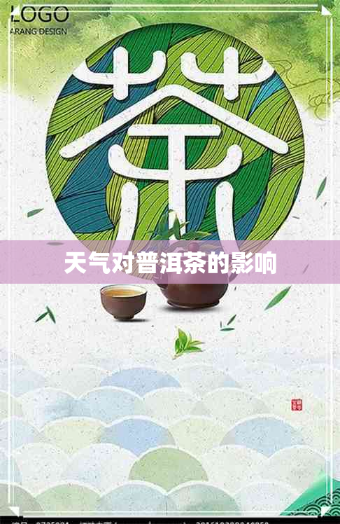 天气对普洱茶的影响