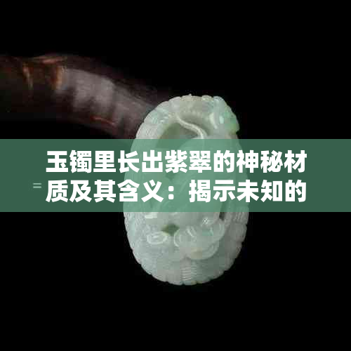 玉镯里长出紫翠的神秘材质及其含义：揭示未知的珠宝世界