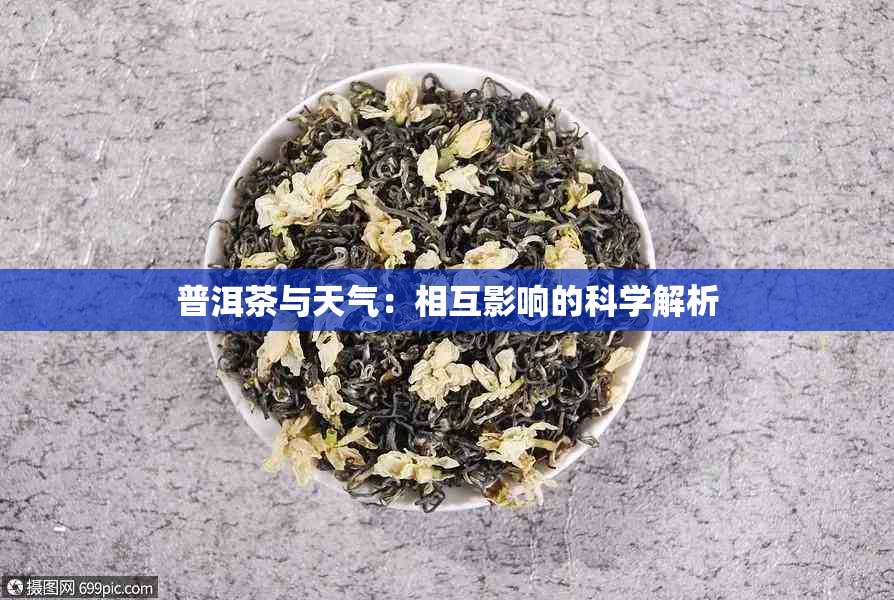 普洱茶与天气：相互影响的科学解析