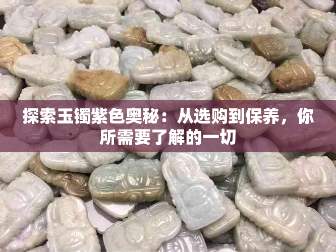 探索玉镯紫色奥秘：从选购到保养，你所需要了解的一切