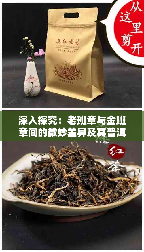 深入探究：老班章与金班章间的微妙差异及其普洱茶价值影响