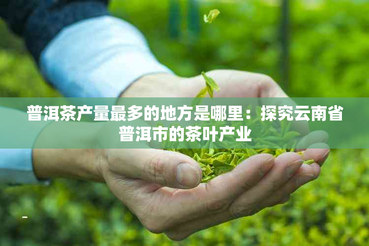 普洱茶产量最多的地方是哪里：探究云南省普洱市的茶叶产业