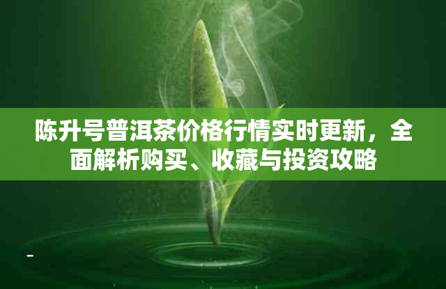 陈升号普洱茶价格行情实时更新，全面解析购买、收藏与投资攻略