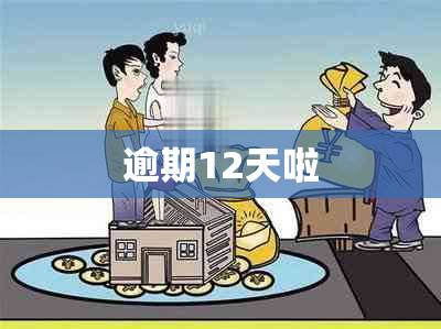 逾期12天啦