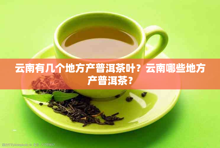 云南有几个地方产普洱茶叶？云南哪些地方产普洱茶？