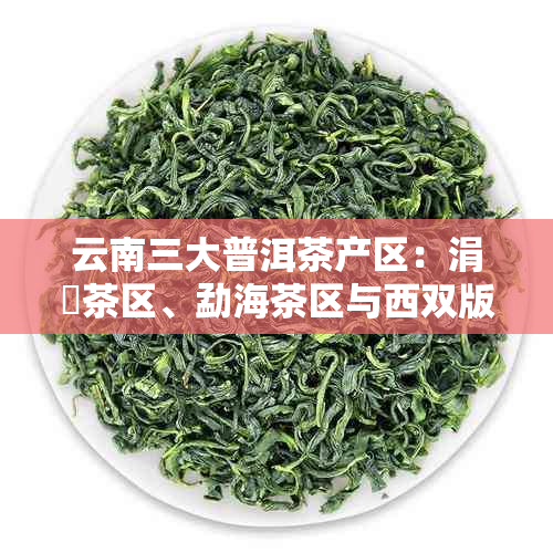 云南三大普洱茶产区：涓夊茶区、勐海茶区与西双版纳茶区之旅