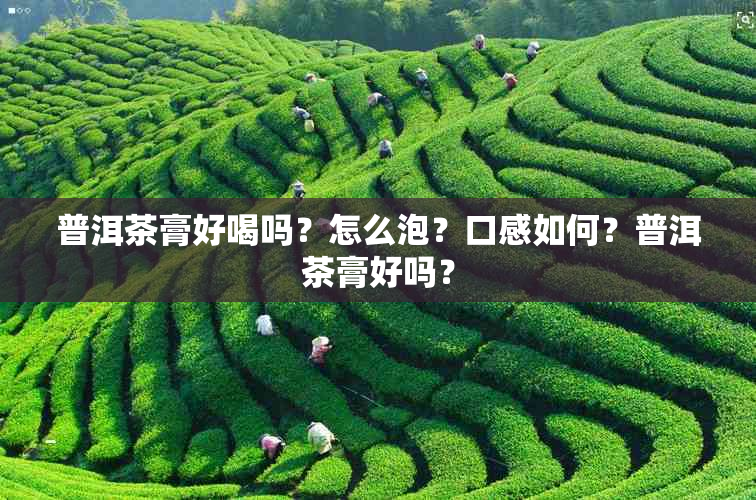 普洱茶膏好喝吗？怎么泡？口感如何？普洱茶膏好吗？