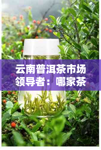 云南普洱茶市场领导者：哪家茶厂的销售额更高？了解各销售情况与特点