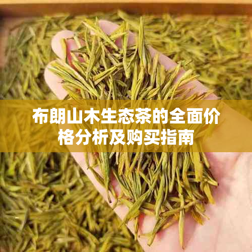 布朗山木生态茶的全面价格分析及购买指南