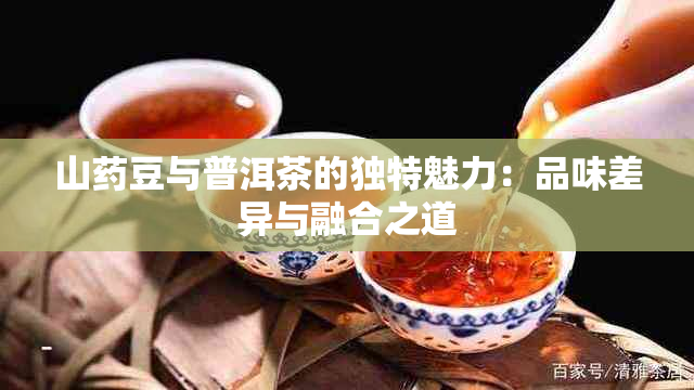 山豆与普洱茶的独特魅力：品味差异与融合之道