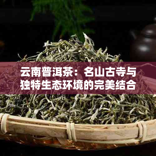 云南普洱茶：名山古寺与独特生态环境的完美结合