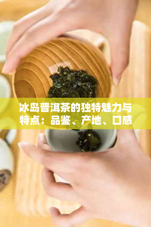 冰岛普洱茶的独特魅力与特点：品鉴、产地、口感与功效详解