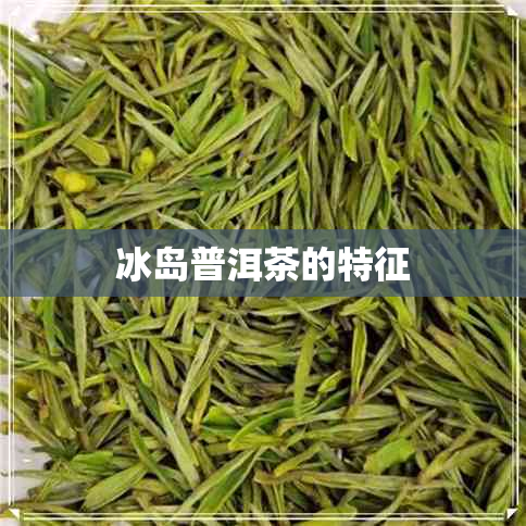 冰岛普洱茶的特征