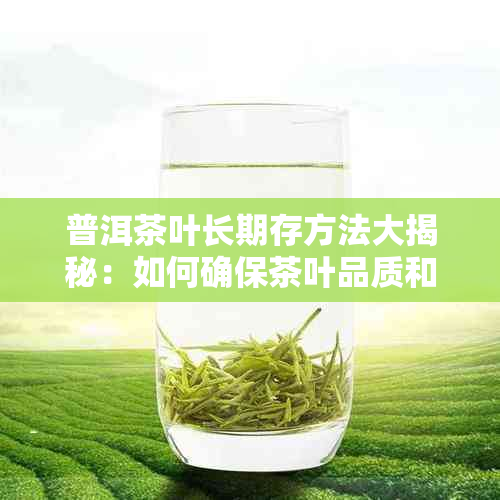 普洱茶叶长期存方法大揭秘：如何确保茶叶品质和口感不变？