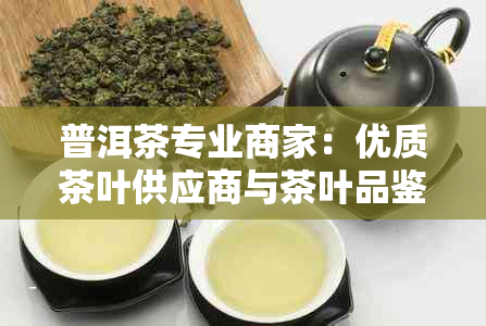 普洱茶专业商家：优质茶叶供应商与茶叶品鉴指南