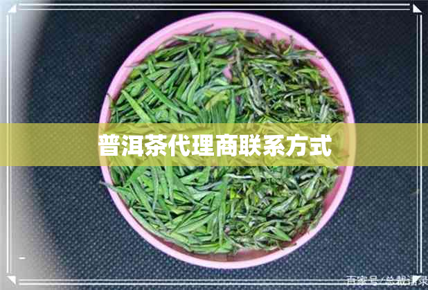 普洱茶代理商联系方式